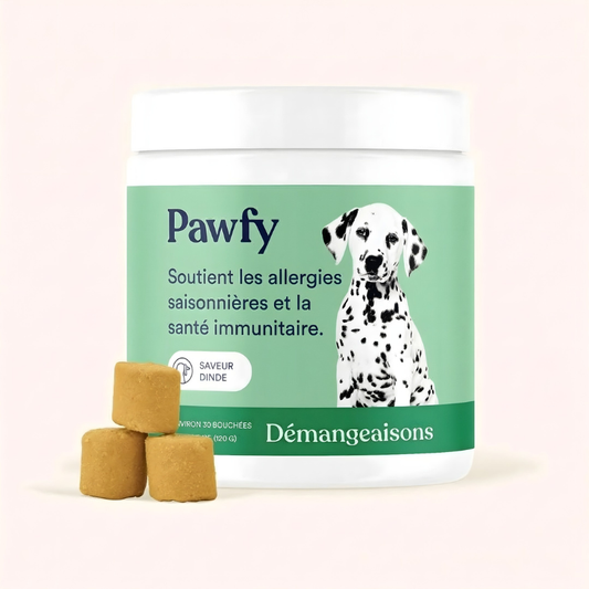 Pawfy - Démangeaisons