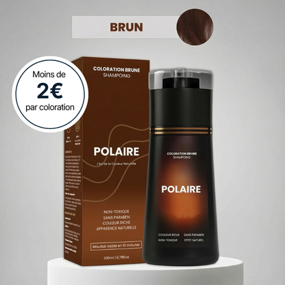 Shampoing colorant instantané